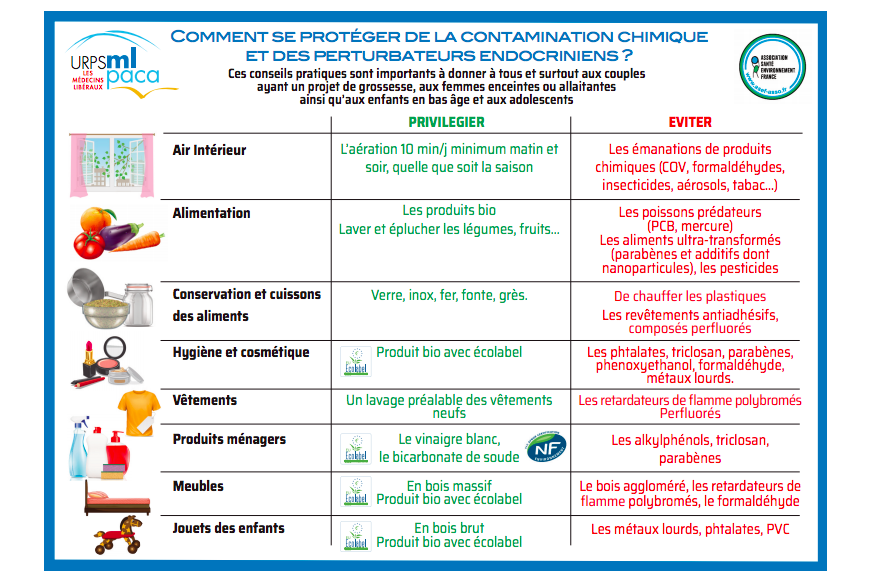 Gestes de base anti perturbateurs endocriniens