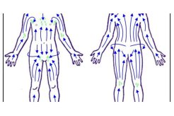 Sens à respecter du brossage à sec, celui du système lymphatique