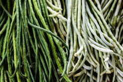 Haricots verts frais